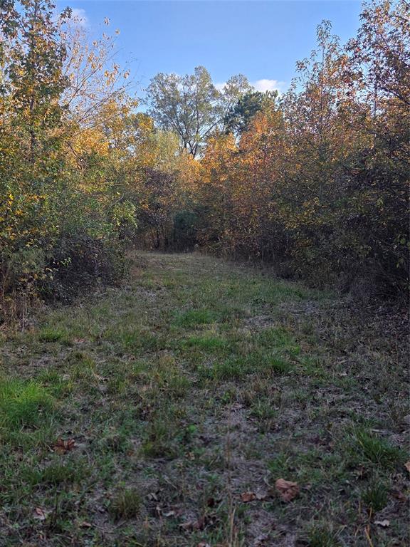 Joshua Bowerman Hr Surv Abs #5 - Land