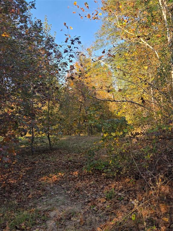 Joshua Bowerman Hr Surv Abs #5 - Land