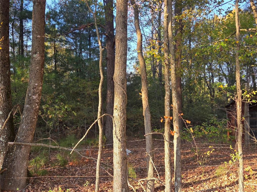 Joshua Bowerman Hr Surv Abs #5 - Land