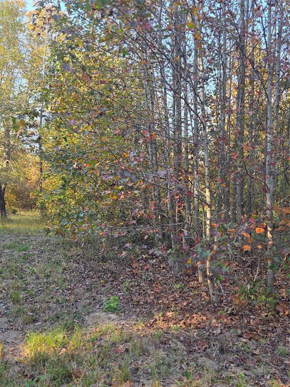 Joshua Bowerman Hr Surv Abs #5 - Land