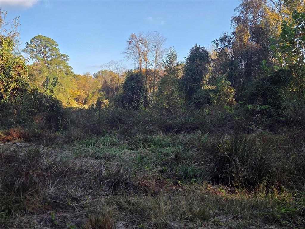 Joshua Bowerman Hr Surv Abs #5 - Land