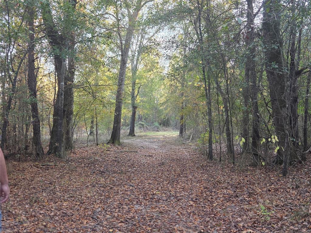 Joshua Bowerman Hr Surv Abs #5 - Land