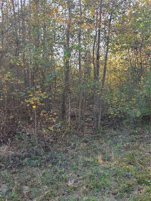 Joshua Bowerman Hr Surv Abs #5 - Land