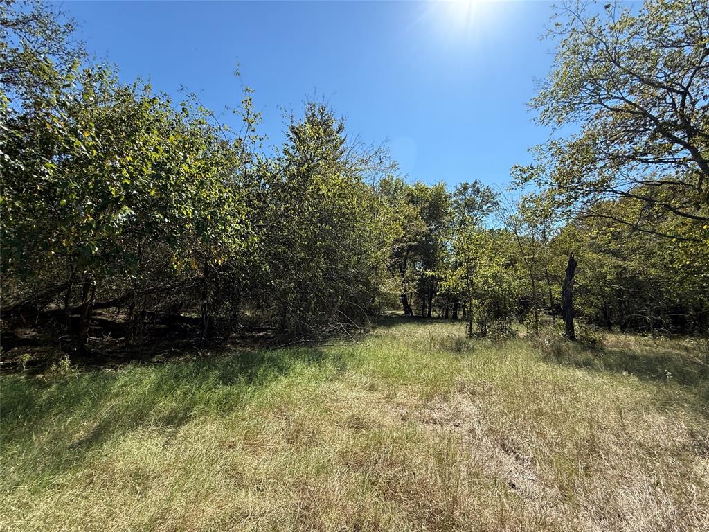 108 Acres County Road 3544