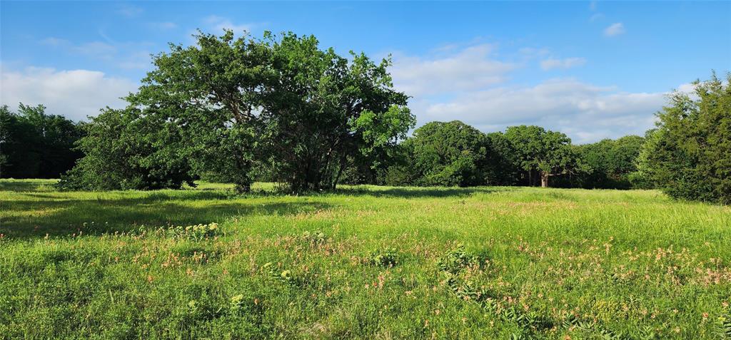 RJ Moseley Survey TR 82 - Land
