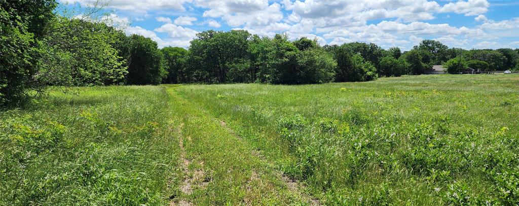 RJ Moseley Survey TR 82 - Land