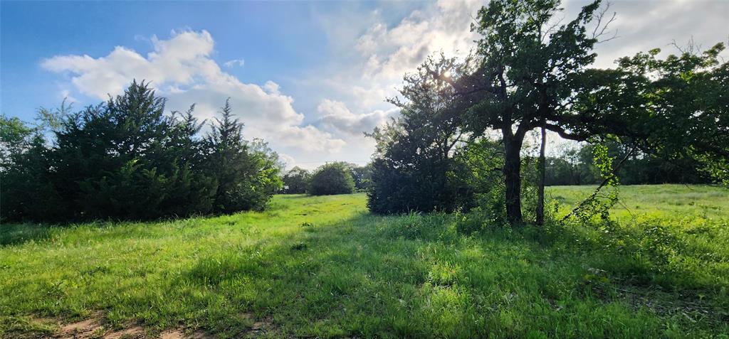 RJ Moseley Survey TR 82 - Land