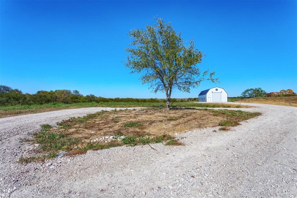524 Texas Longhorn Trail