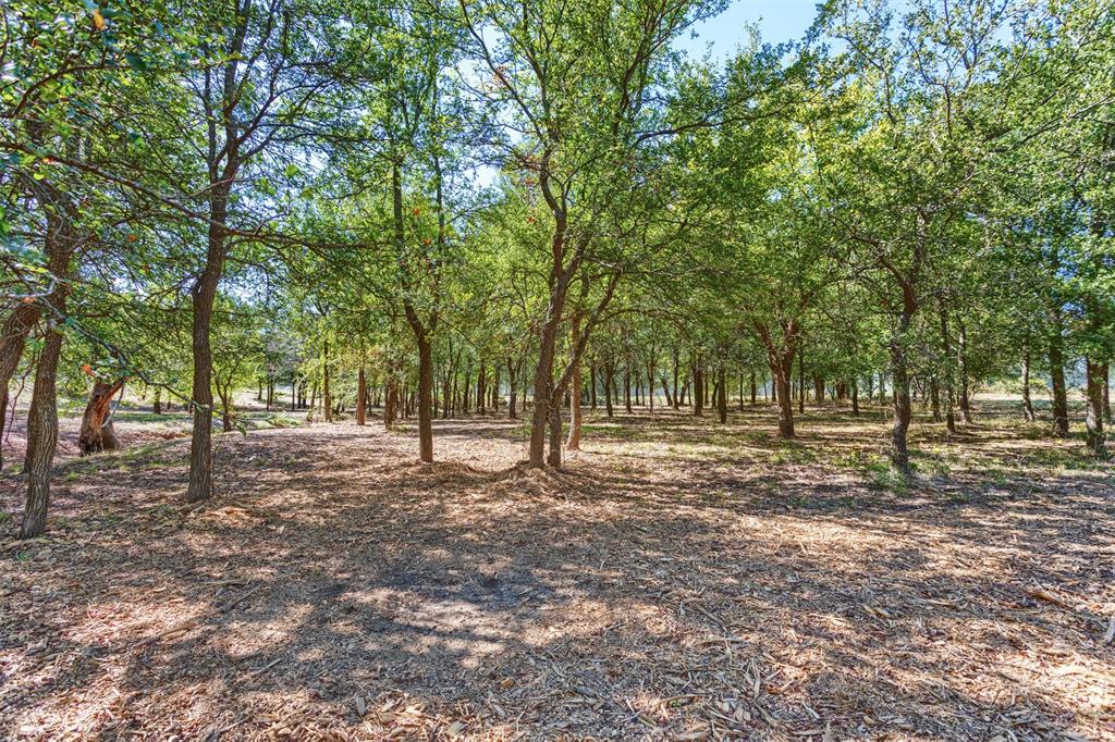 524 Texas Longhorn Trail