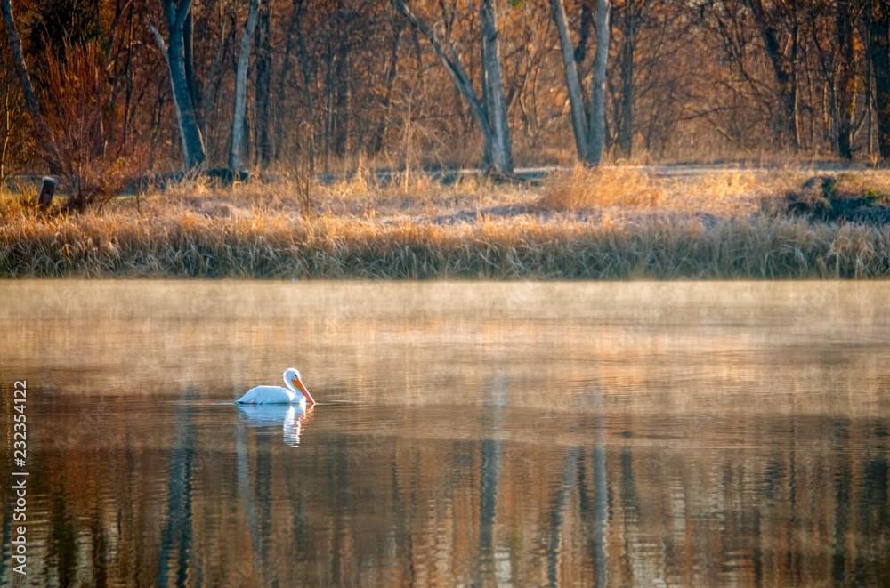 LAKE HIGHLANDS - Residential