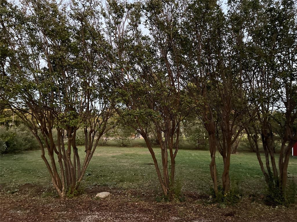 Henry Russell Survey Abstract 1324 - Land