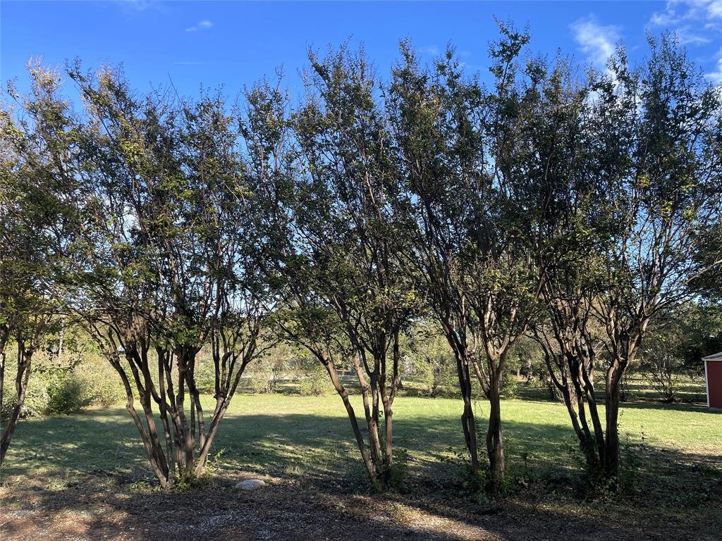 Henry Russell Survey Abstract 1324 - Land