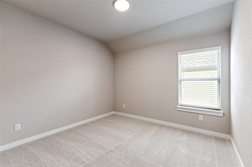 Painted Tree - Residential