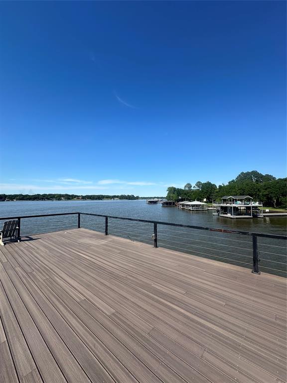 Thomas Caro Surv Abs #133 - Land