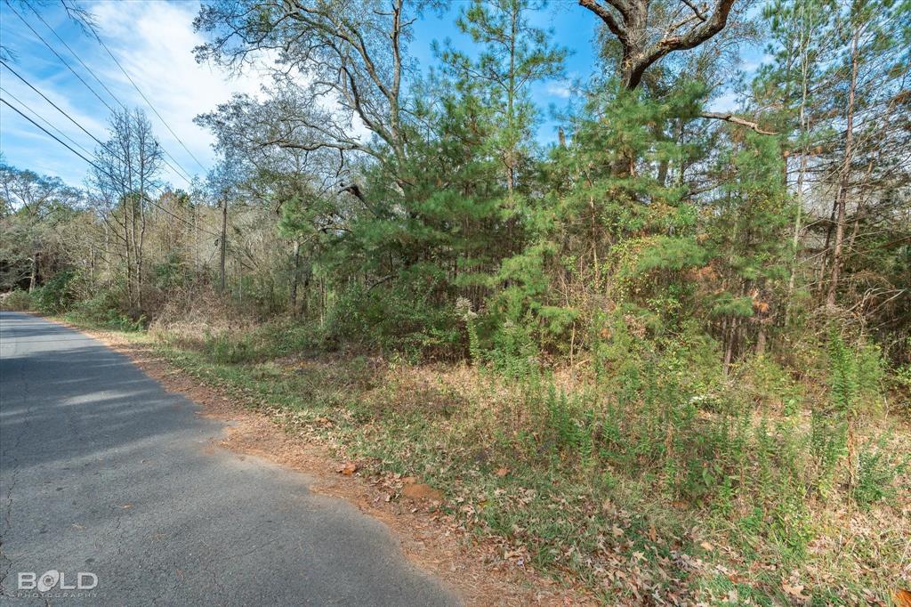 Vivian, Louisiana 71082, United States, ,Land,Active,251006