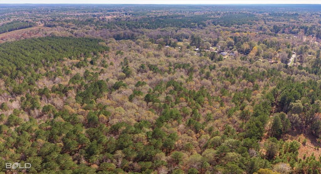 Vivian, Louisiana 71082, United States, ,Land,Active,251006