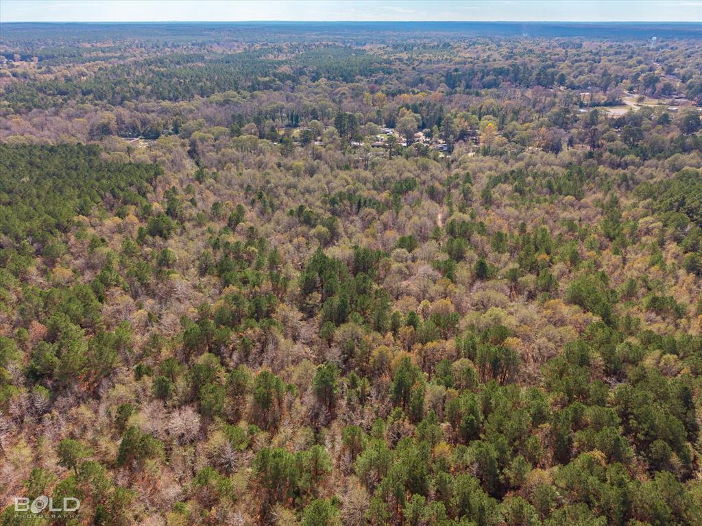 Vivian, Louisiana 71082, United States, ,Land,Active,251006