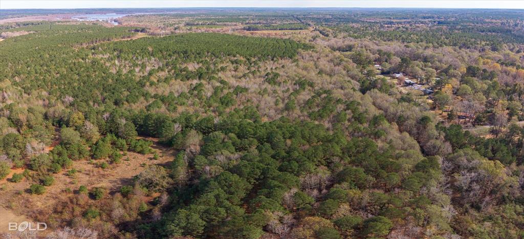 Vivian, Louisiana 71082, United States, ,Land,Active,251006