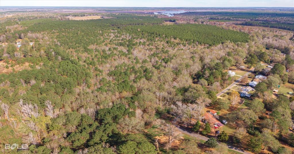 Vivian, Louisiana 71082, United States, ,Land,Active,251006