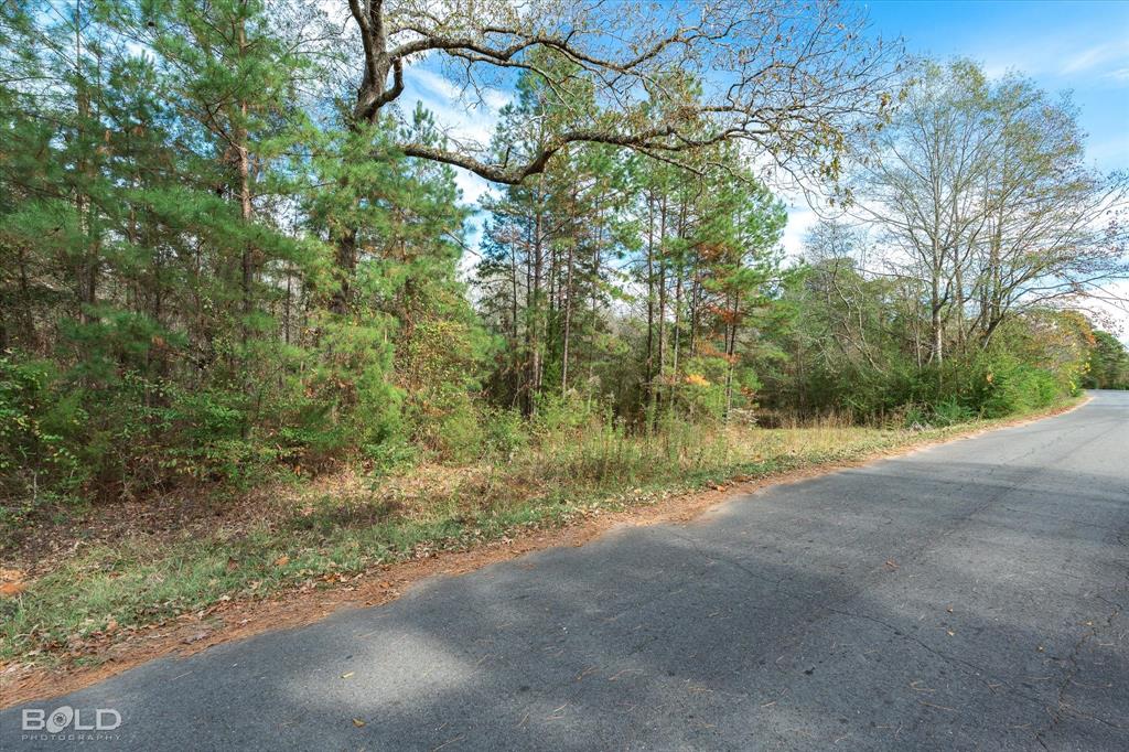 Vivian, Louisiana 71082, United States, ,Land,Active,251006