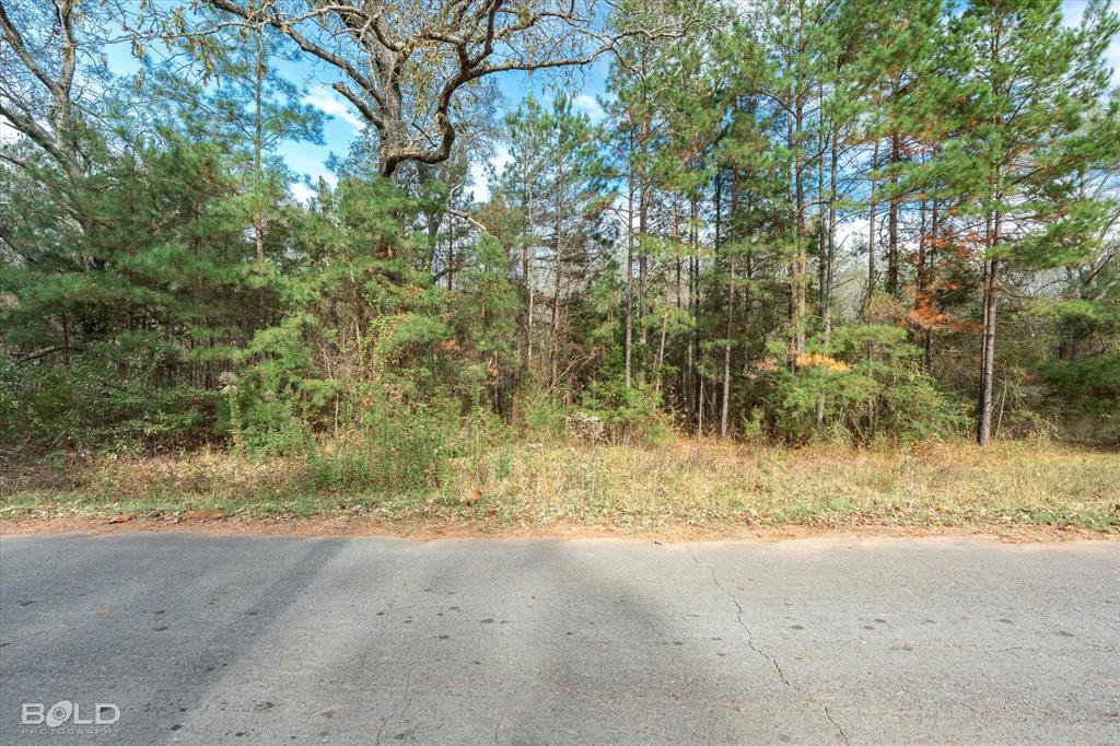 Vivian, Louisiana 71082, United States, ,Land,Active,251006