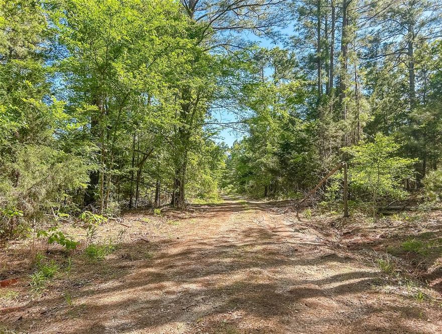 Located in the rolling hills of Ben Wheeler, this 16.012-acre property offers a peaceful, wooded retreat with plenty of character. Set behind a gated entrance with fencing along the road frontage, the land features a mix of natural beauty and elevated views, perfect for those craving privacy and a connection to nature. A 100x100 cell tower sits on the property, giving it a unique point of interest. With towering trees, high hills, and plenty of space to explore or build, this property is ideal for creating your own quiet getaway in the heart of East Texas.