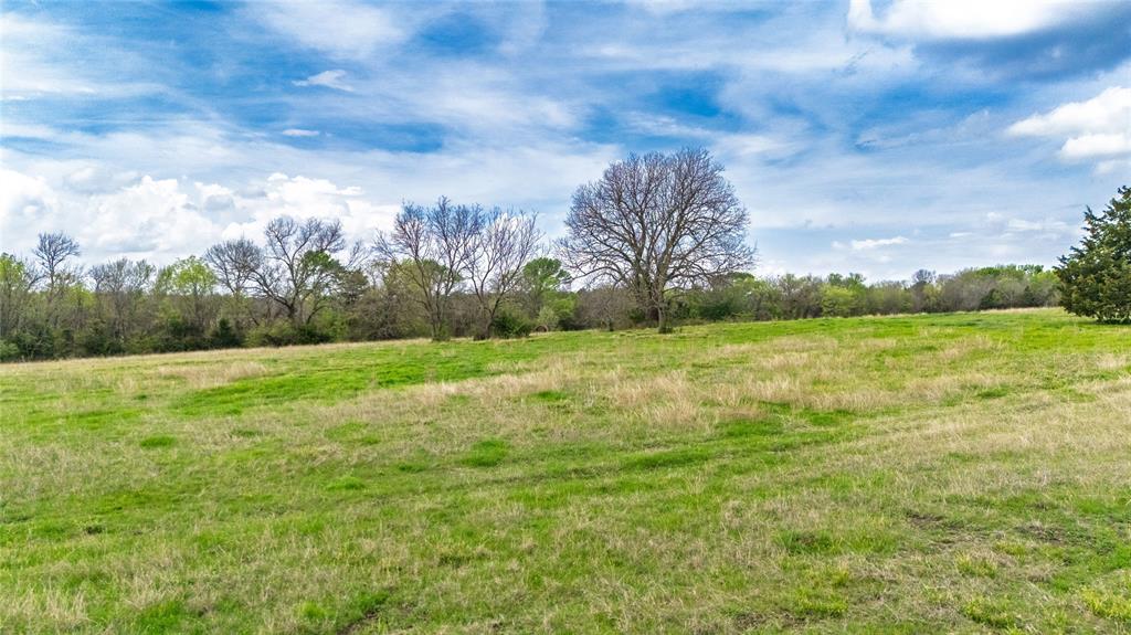 Buffalo Creek - Land