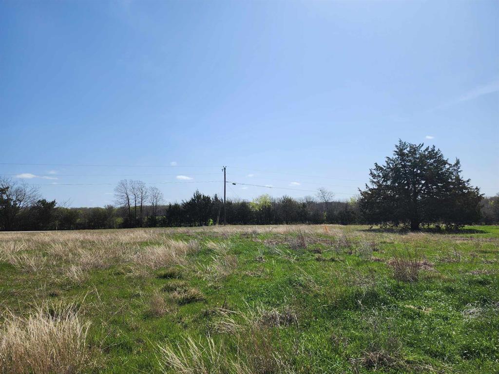 Buffalo Creek - Land