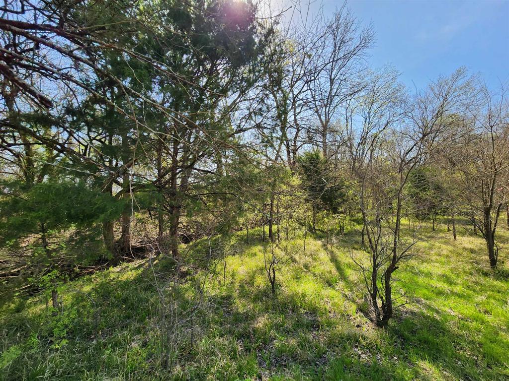 Buffalo Creek - Land