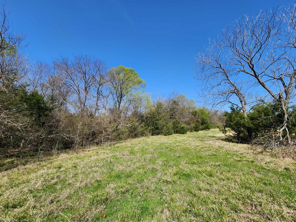 Buffalo Creek - Land