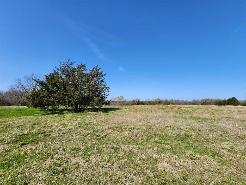 Buffalo Creek - Land