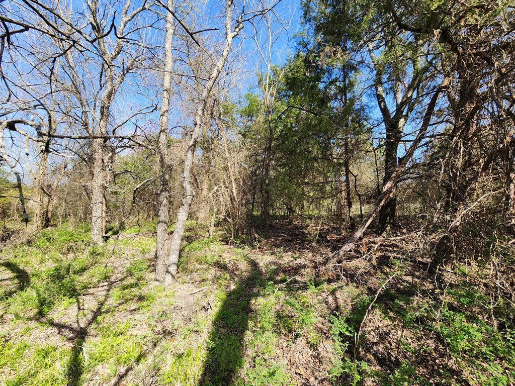 Buffalo Creek - Land