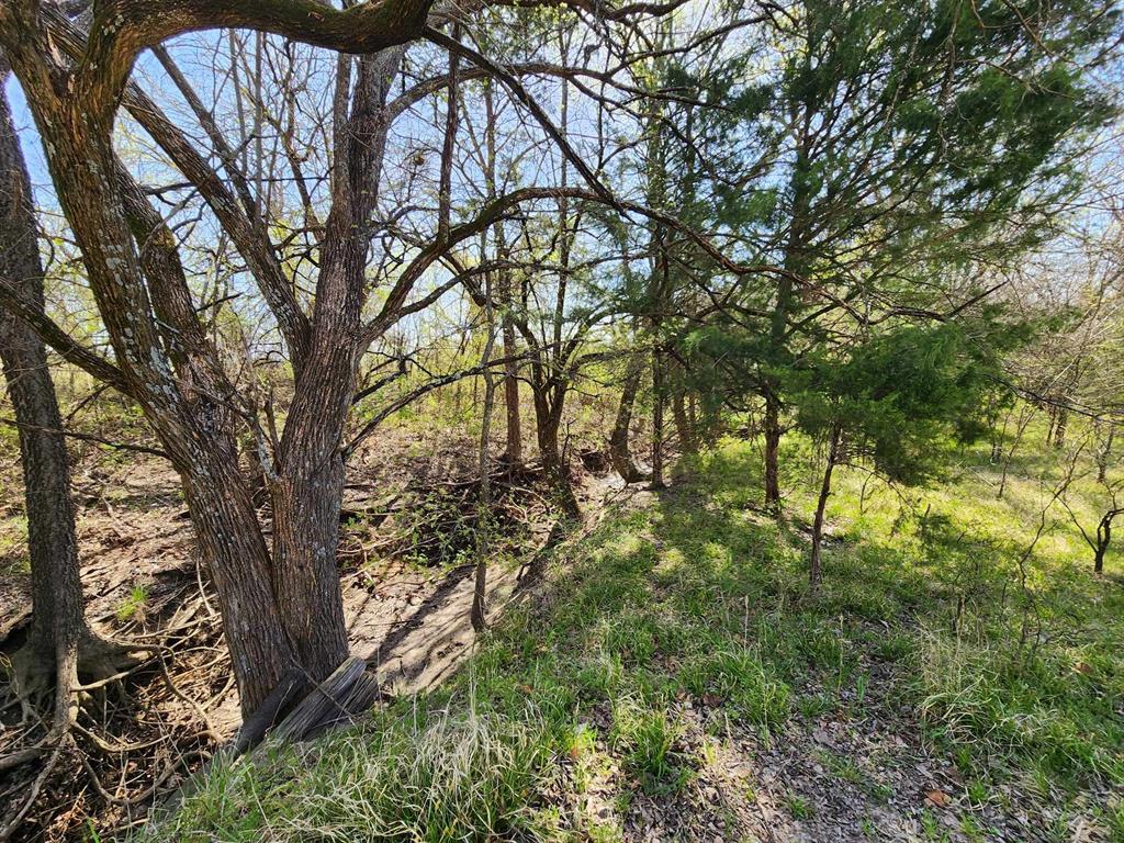 Buffalo Creek - Land