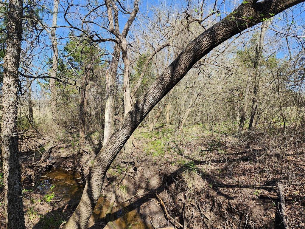 Buffalo Creek - Land