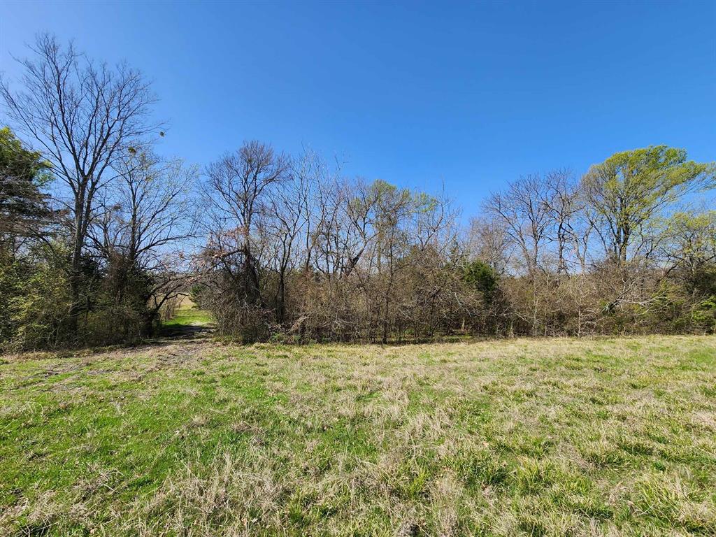 Buffalo Creek - Land