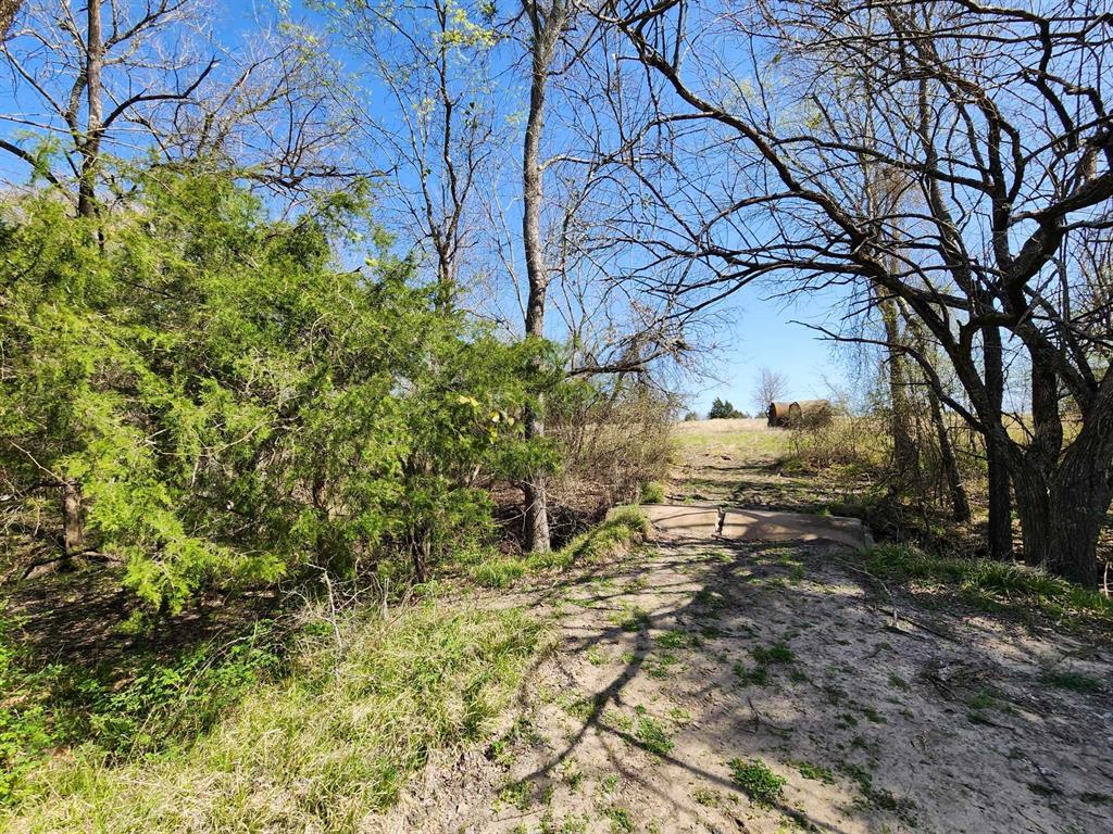 Buffalo Creek - Land