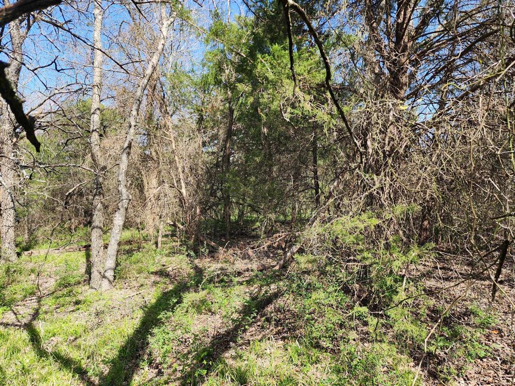 Buffalo Creek - Land