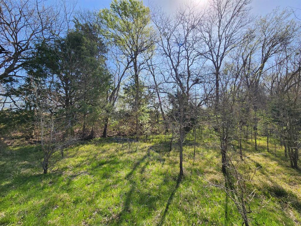 Buffalo Creek - Land