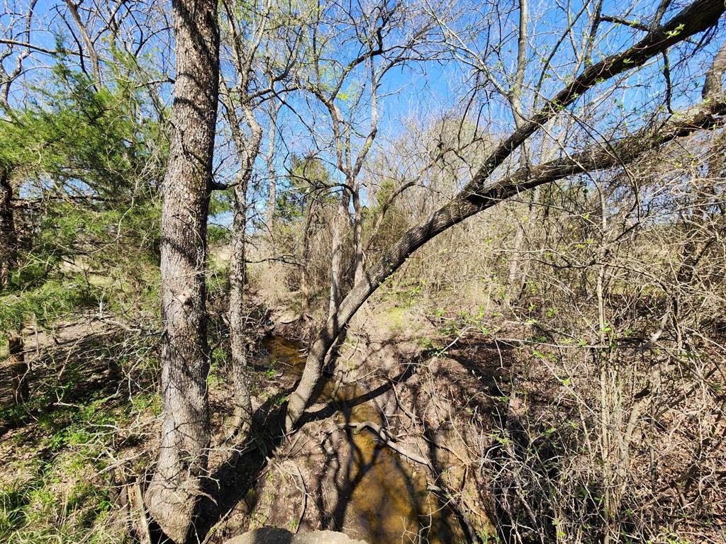 Buffalo Creek - Land