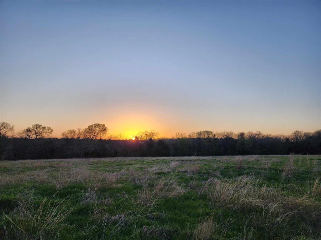 Buffalo Creek - Land