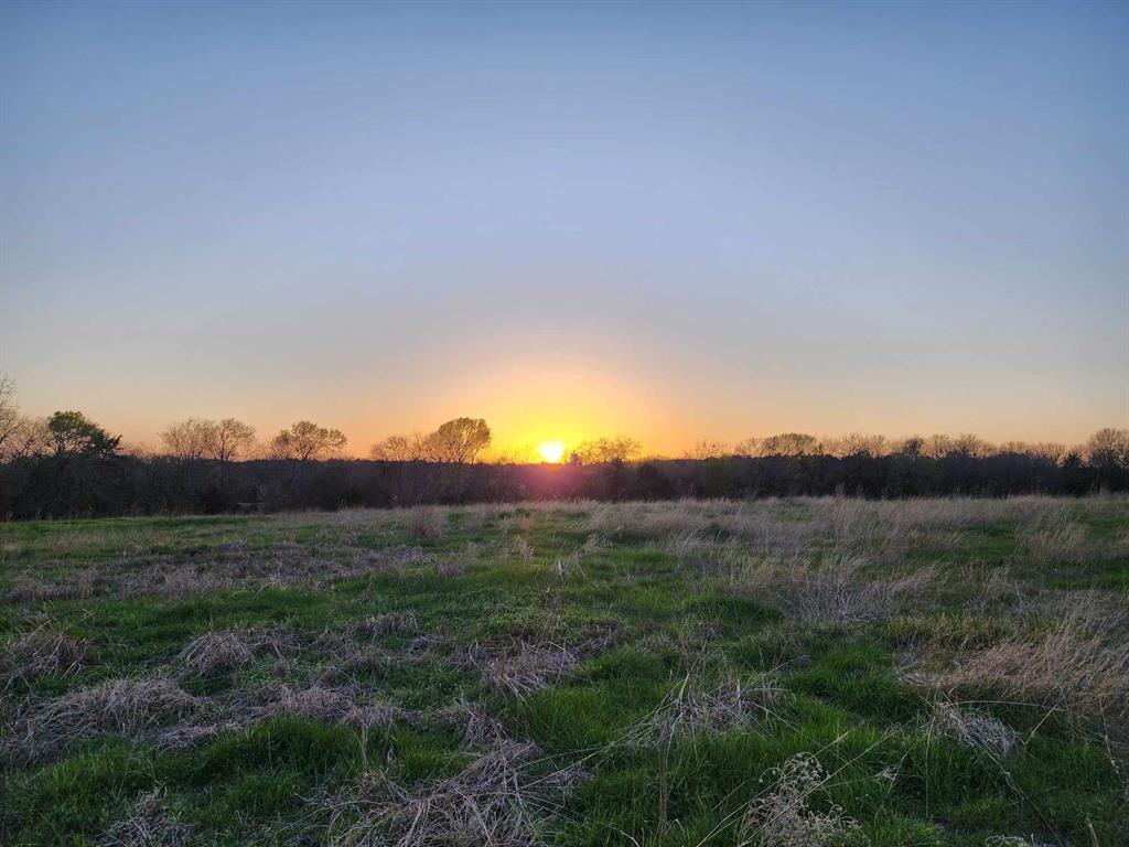 Buffalo Creek - Land