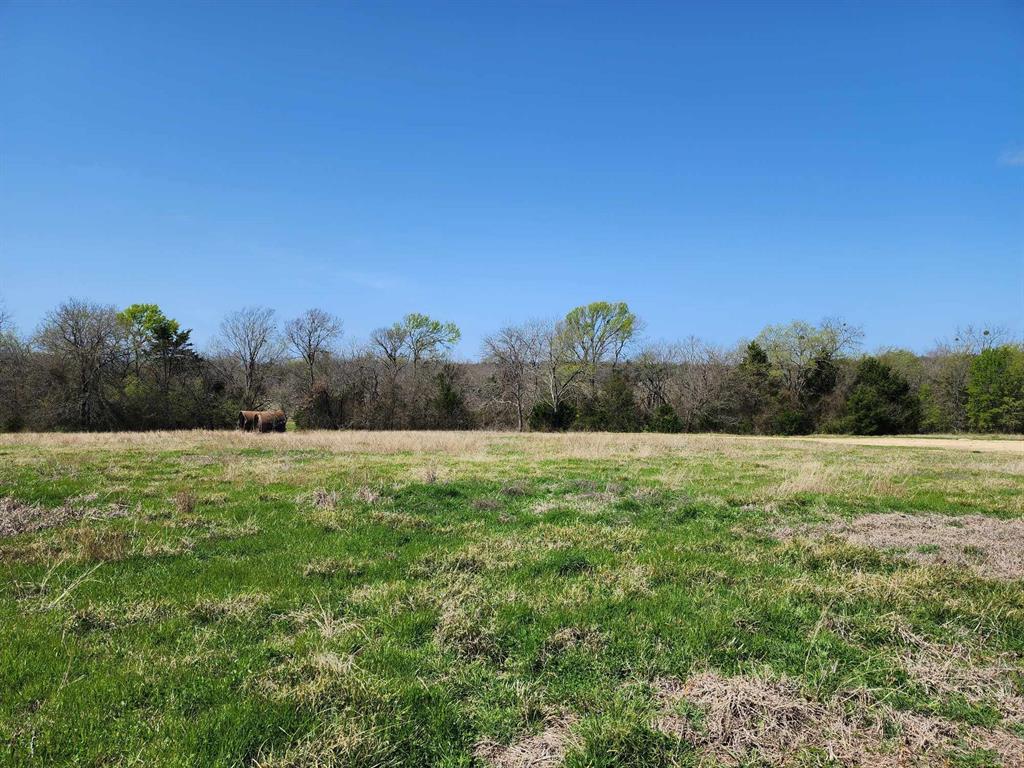 Buffalo Creek - Land