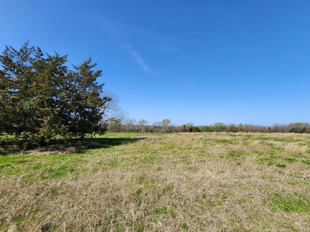 Buffalo Creek - Land