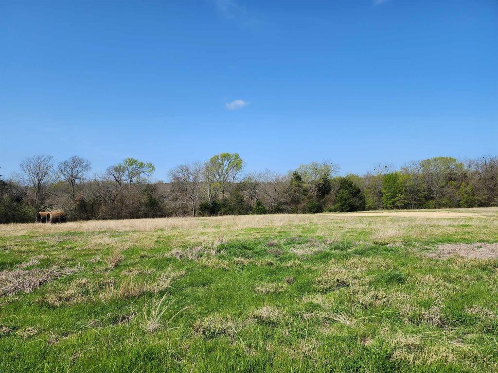 Buffalo Creek - Land