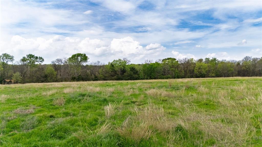 Buffalo Creek - Land