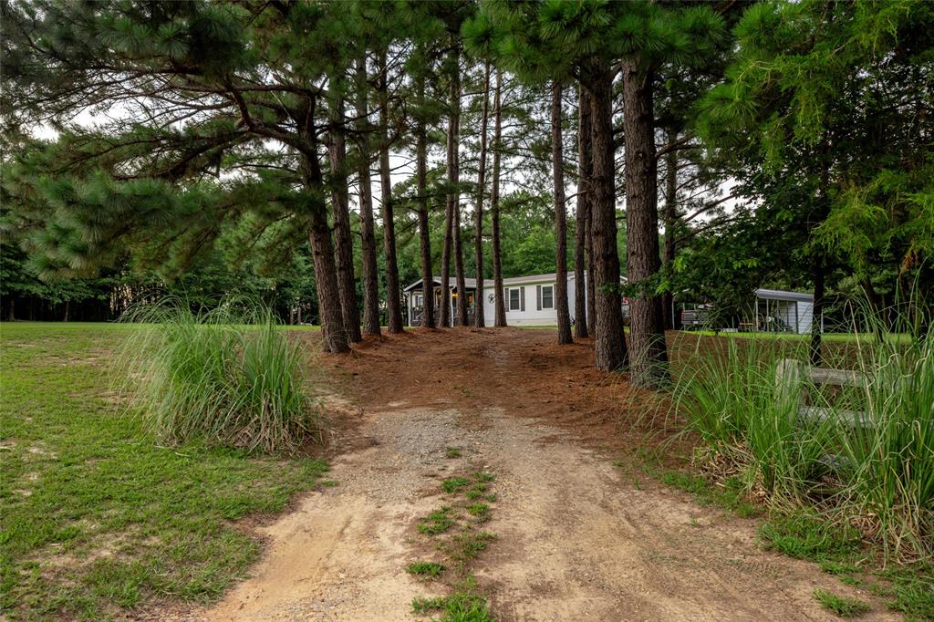 3237 Farm Road 3019