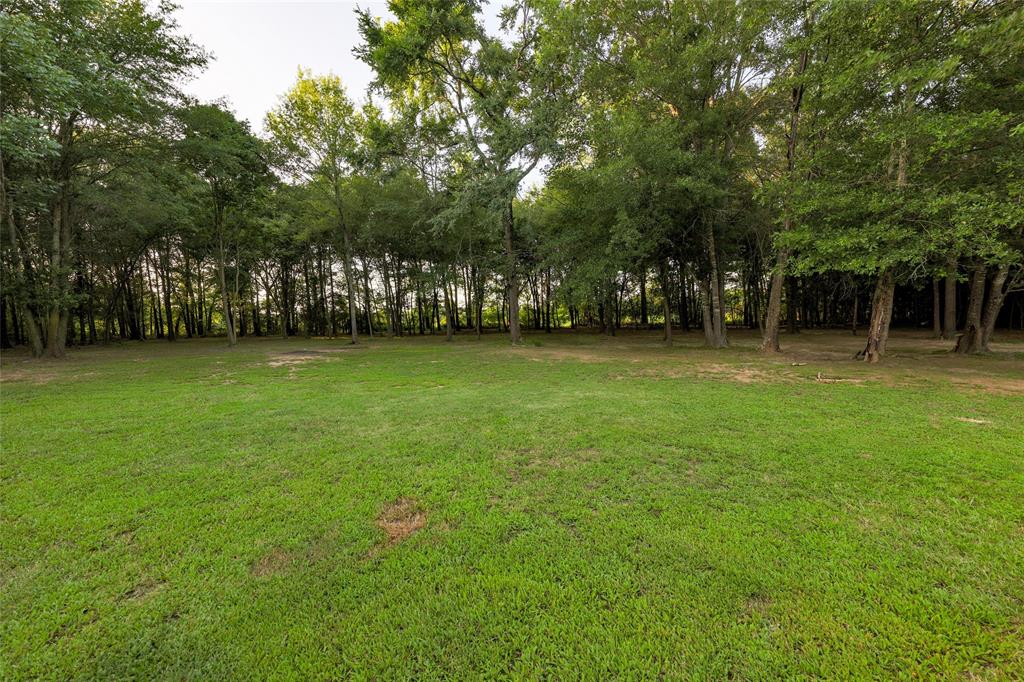 3237 Farm Road 3019