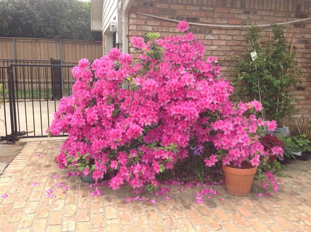 Country Brook Sec One - Residential