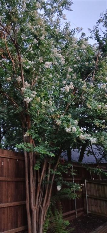 Enchanted Oaks Add - Residential