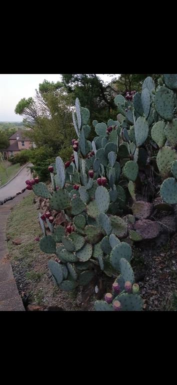 Enchanted Oaks Add - Residential